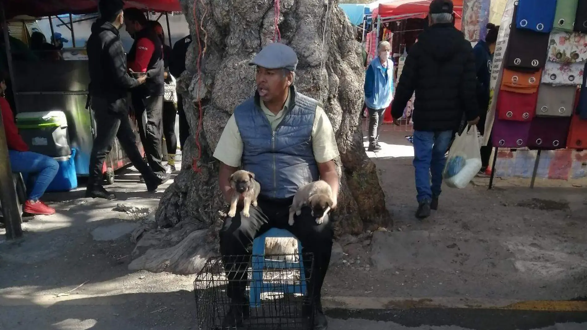 mercado de las vias (6)